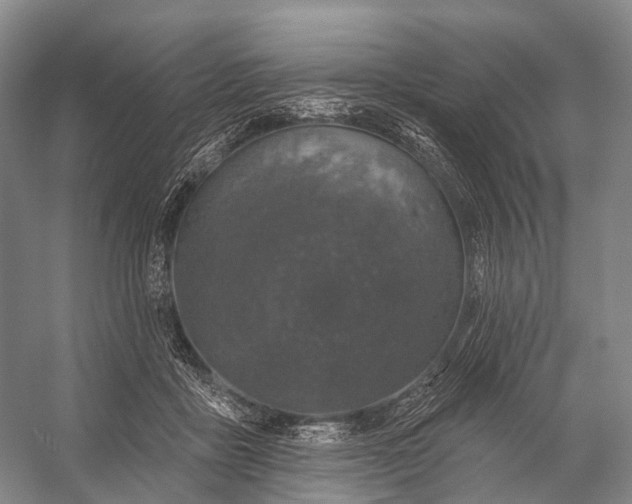 X0000056330411200509161714