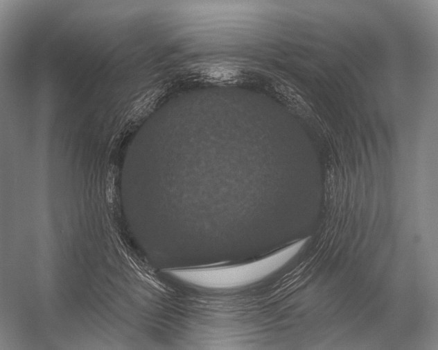 X0000056330412200509161714