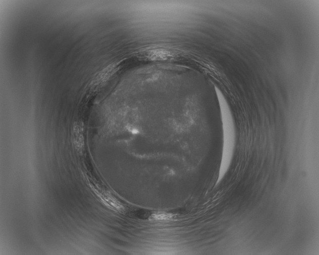 X0000056330413200509161714