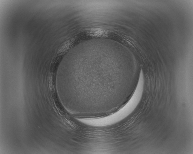 X0000056330416200509161714