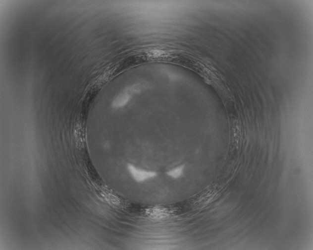 X0000056330419200509161714