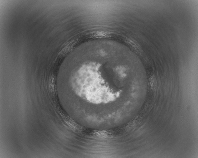 X0000056330423200509161714