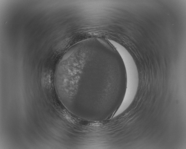 X0000056330424200509161714