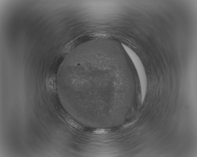 X0000056330425200509161714