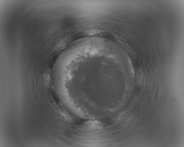 X0000056330427200509161714