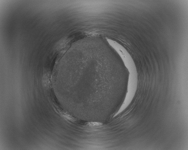 X0000056330429200509161714