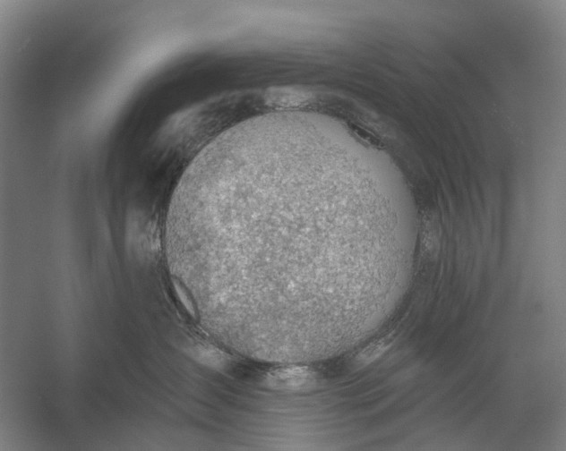 X0000056330431200509161714