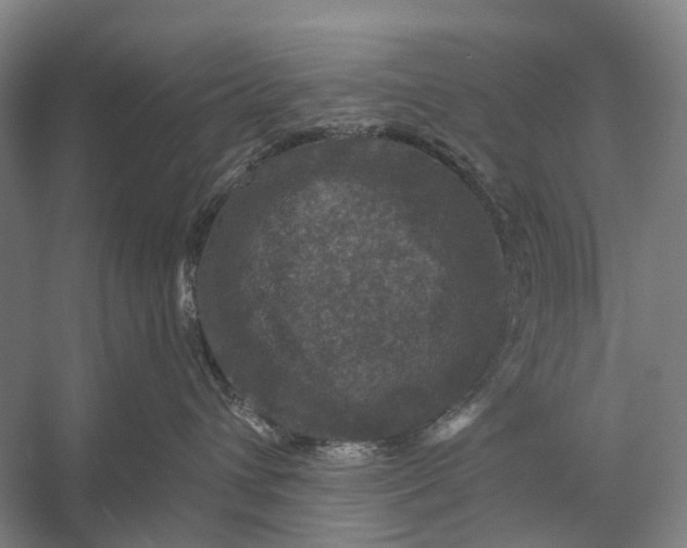 X0000056330432200509161714