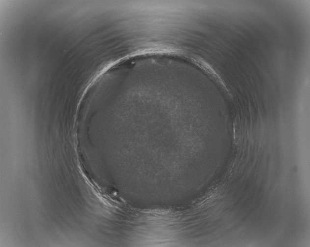 X0000056330436200509161713