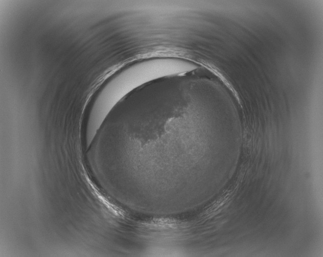 X0000056330437200509161713