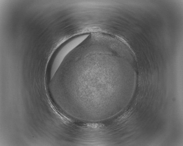 X0000056330439200509161713