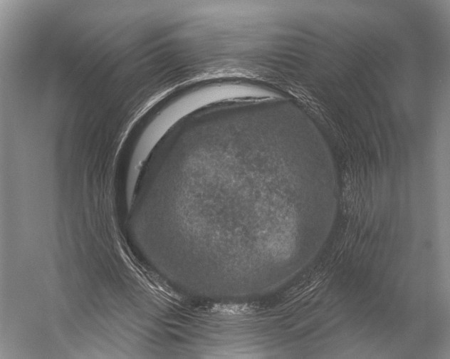 X0000056330440200509161713