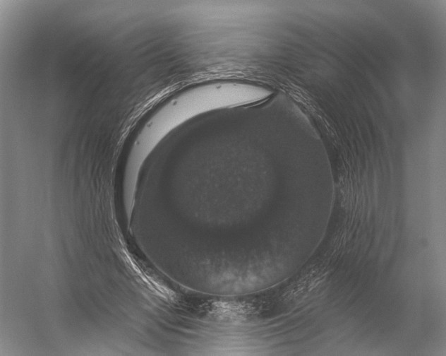 X0000056330442200509161713