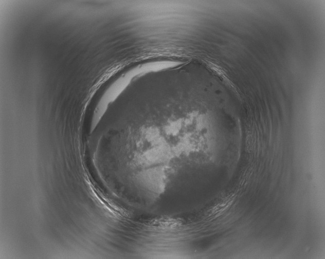 X0000056330443200509161713