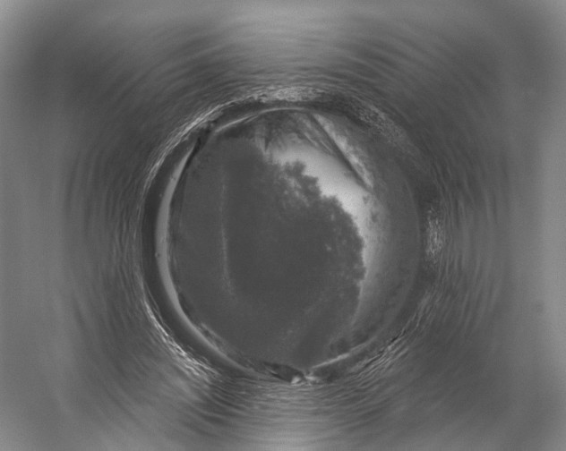 X0000056330444200509161713