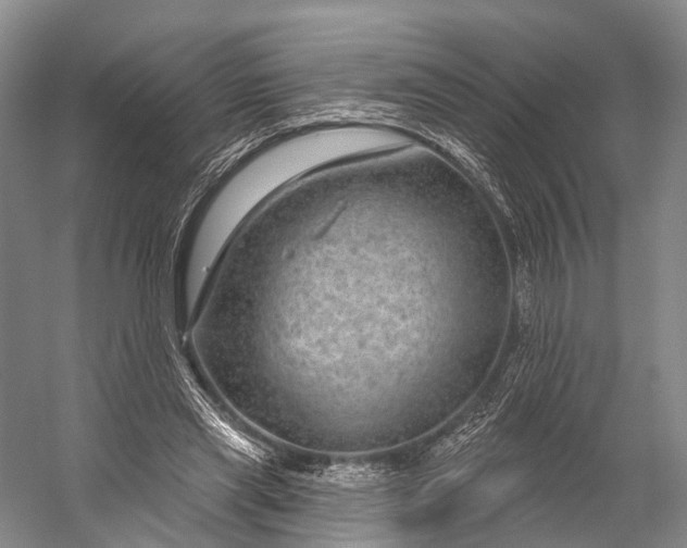 X0000056330445200509161714