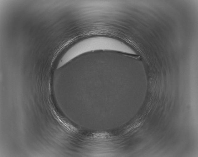 X0000056330446200509161714