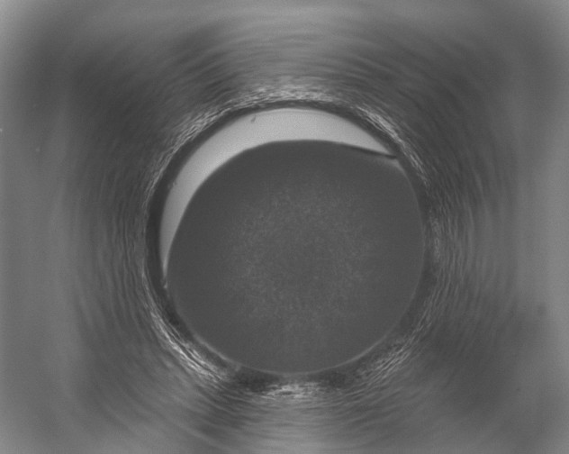 X0000056330447200509161714