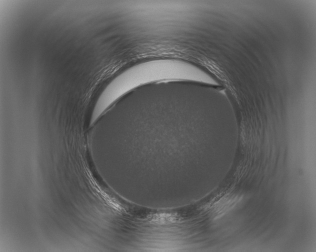 X0000056330449200509161714