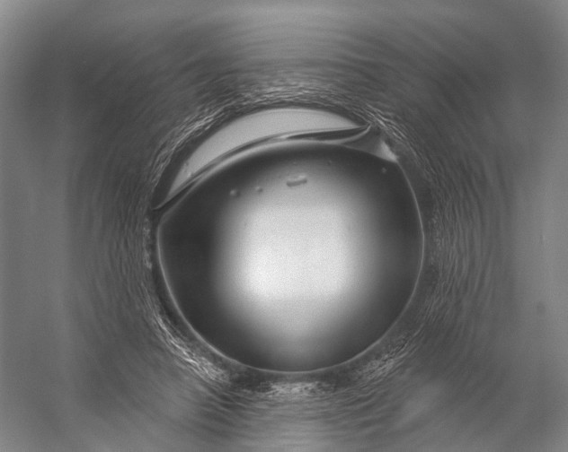 X0000056330450200509161714