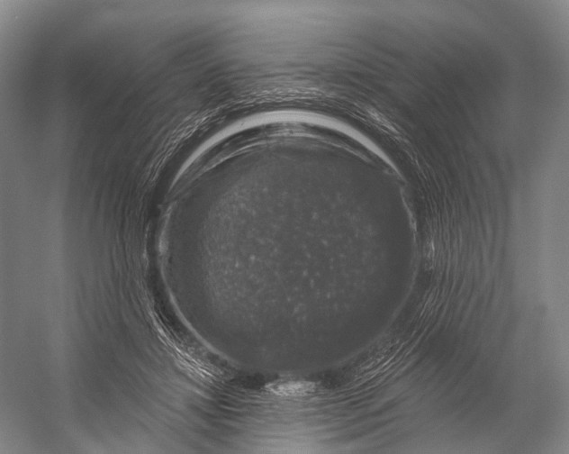 X0000056330452200509161714