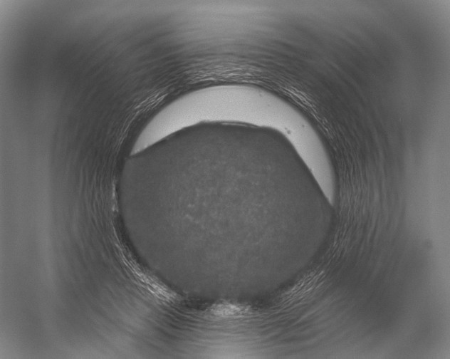 X0000056330453200509161714