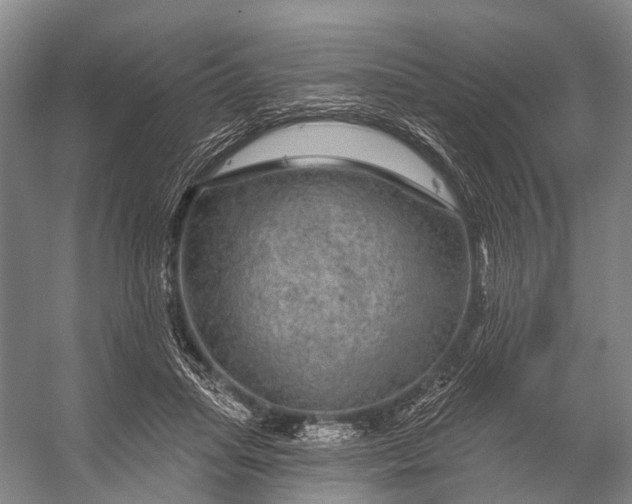 X0000056330455200509161714