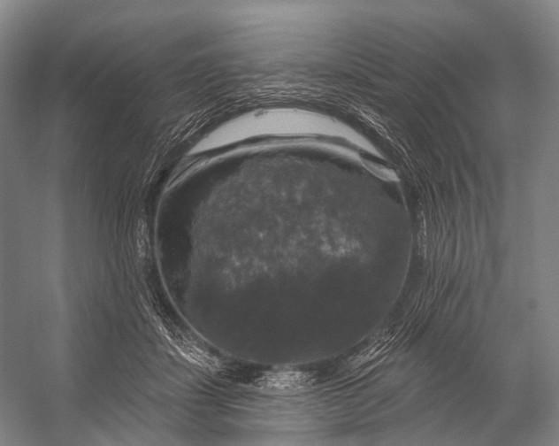 X0000056330459200509161714