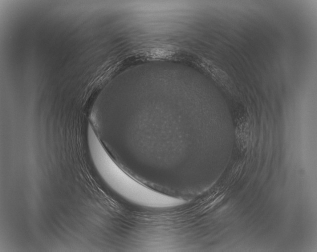 X0000056330462200509161714