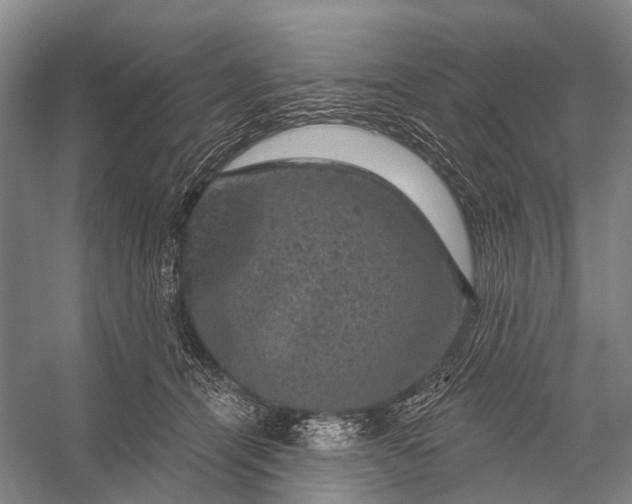 X0000056330464200509161714