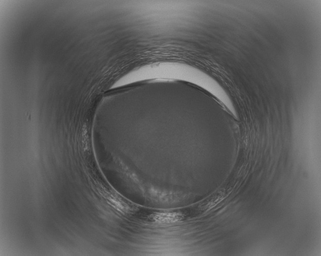 X0000056330465200509161714