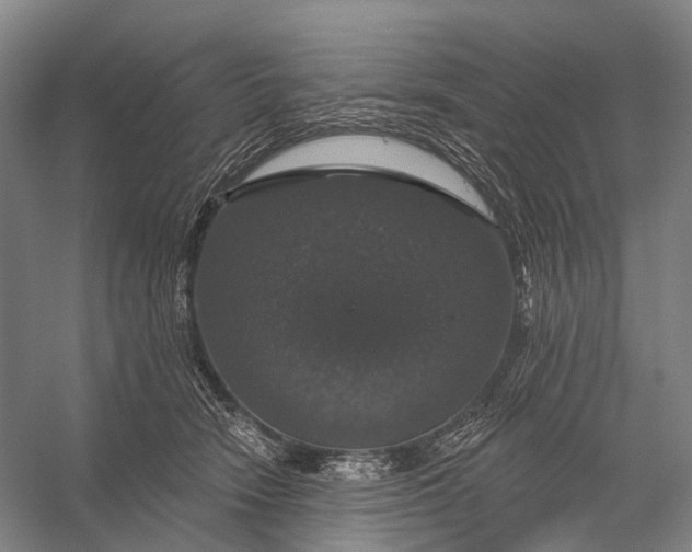 X0000056330466200509161714