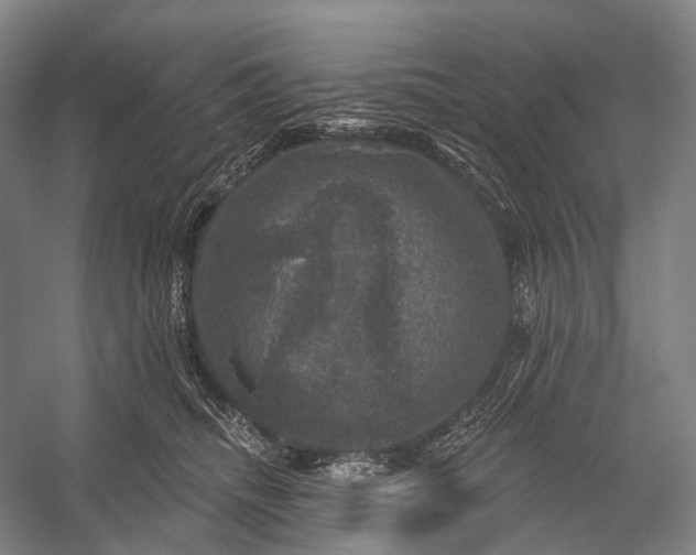 X0000056330468200509161714