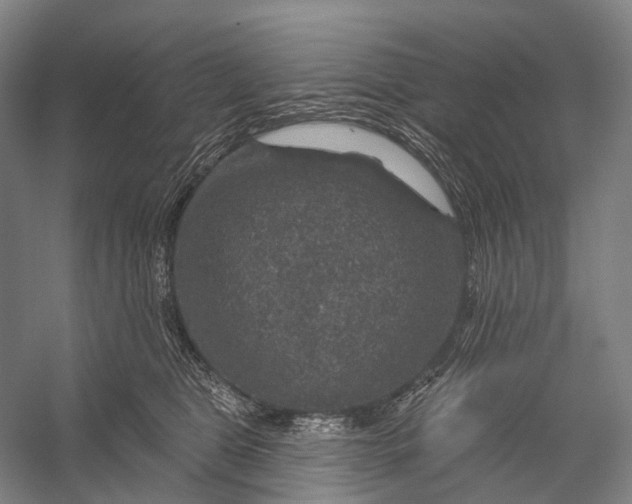 X0000056330469200509161714