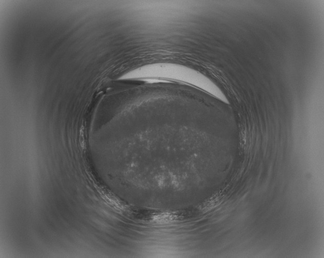 X0000056330470200509161714