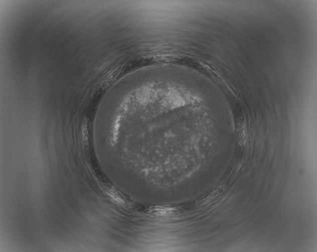 X0000056330472200509161714