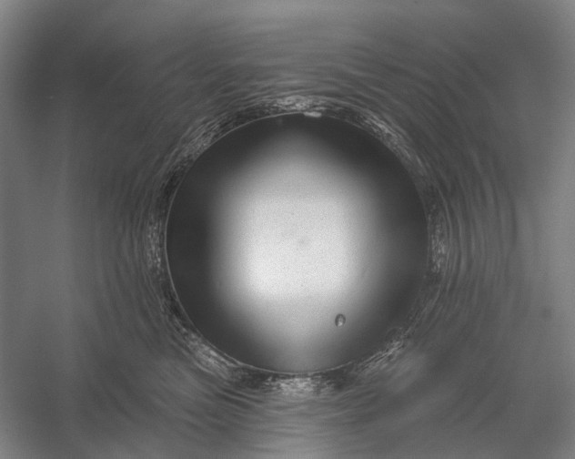 X0000056330473200509161714