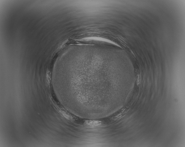 X0000056330476200509161714