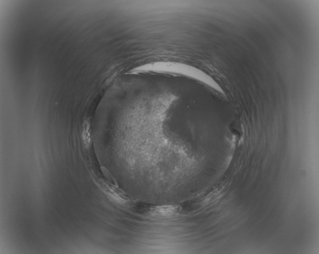 X0000056330479200509161714