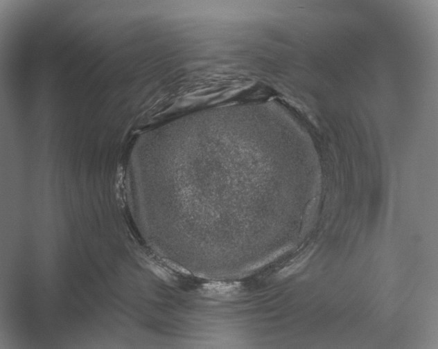 X0000056330480200509161714