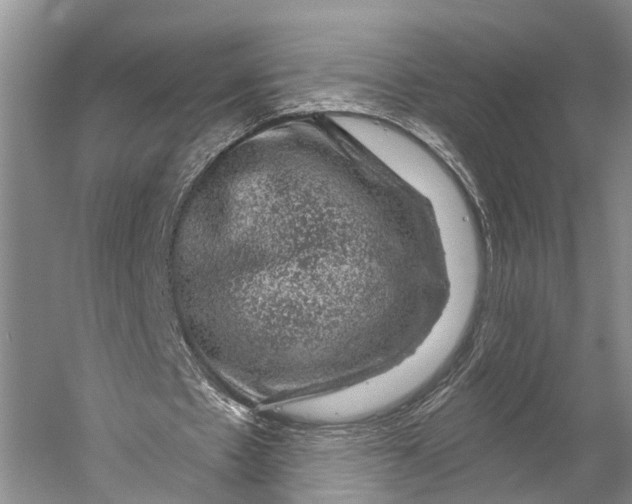 X0000056330481200509161713