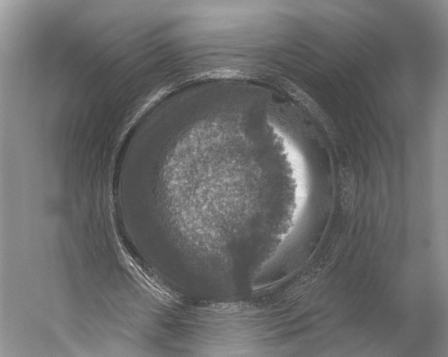 X0000056330482200509161713