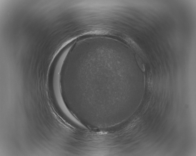 X0000056330484200509161713