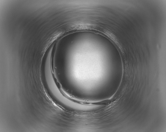 X0000056330485200509161713