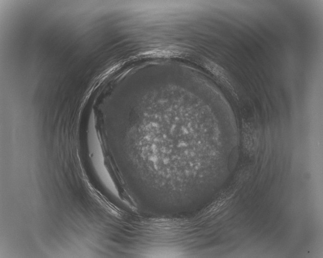 X0000056330486200509161713