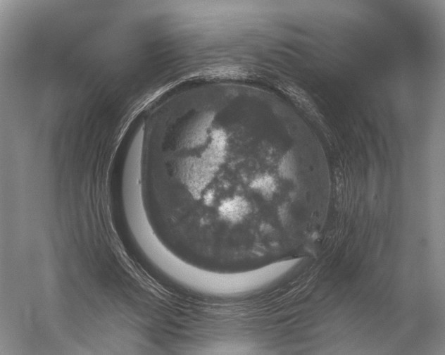 X0000056330487200509161713