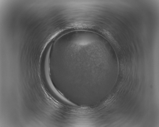 X0000056330488200509161713