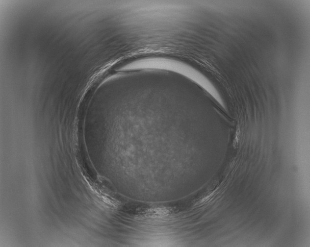 X0000056330492200509161713