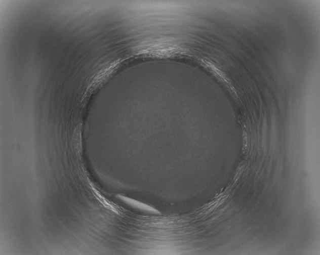 X0000056330493200509161713