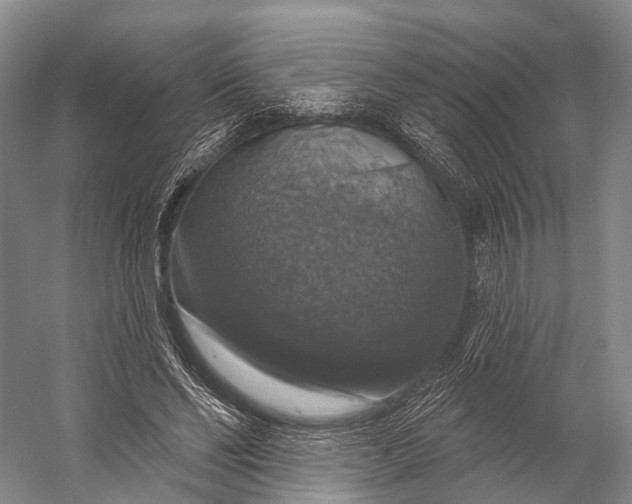 X0000056330494200509161713